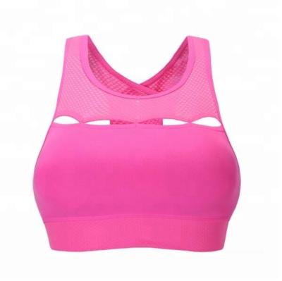 China Antibacterial Bra Latest Styles Yoga Gucai Lady Sexy Photos With Mesh for sale