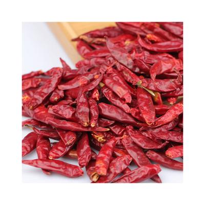 China Dry Proper Customized Factory Chili Pepper Dried Red Chili Pepper for sale