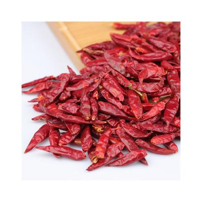 China Cheap Price Dry Accept Custom Simple Spices Chili Pepper Plant Dried Chili Red Pepper for sale