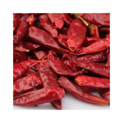 China Factory Price Dry Customized Farmland Planting Extra Hot Dried Chili Pepper for sale