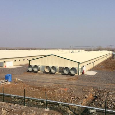 China Automatic Chicken Layers Steel Structure Poultry House OEM for sale