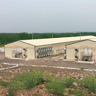 China Prefabricated Chicken Houses Customized Steel Poultry Shed Weather Resistance for sale