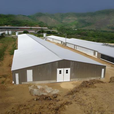 China Customization Prefabricated Steel Structure Poultry House For 10000 Chickens for sale