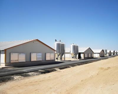 China Makkelijke toegankelijkheid Vooraf ontworpen metalen boerderijapparatuur gebouwen Te koop