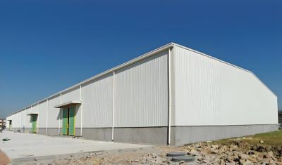 China Low Maintenance Metal Shed Warehouse With Primer Paint And Finished Paint for sale