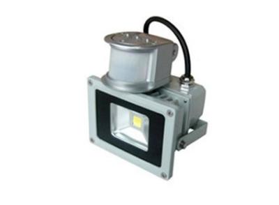 China China LED Flood Lighting for garden, LED Flood Light china professional Manufacturer for sale