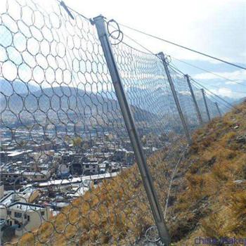 China Galvanized 4mm Wire 10*5m Round Mesh Rockfall Barrier Net for sale