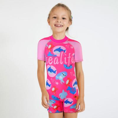 China Best Selling Dismountable Padded Cartoon Print Swimsuit Children Swimsuit Animal Back Zipper One Piece Suit Girl Swimsuits for sale