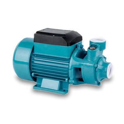 China Household Small Vortex Turbine Irrigation and Agriculture Pump STRATEGY 60 Electric Peripheral Surface Water Pump for sale