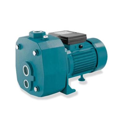 China Irrigation And Agriculture High Pressure Deep Well DP Self Priming Jet Water Pump With Integral Hydraulic Ejector for sale