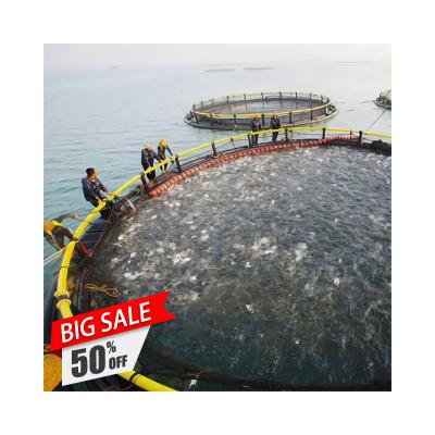 China High Quality Aquaculture Fish Farm Custom HDPE Fish Cage Floating Deep Sea Fish Cage Agriculture for sale