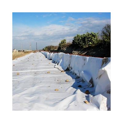 China Contemporary 500g m2 Rolls 200g/m2 Staple Fiber Geotextile Eco-Friendly Stable PP Fiber Non-Woven Geotextile Non-Woven Drainage Fabric PP for sale