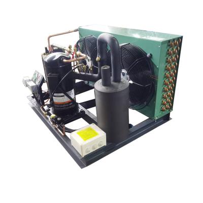 China Custom Hotels Factory Refrigeration Air Cooled Condens Unit Heat Exchanger Cold Room Equipment Open Roll Condensing Unit for Copeland for sale