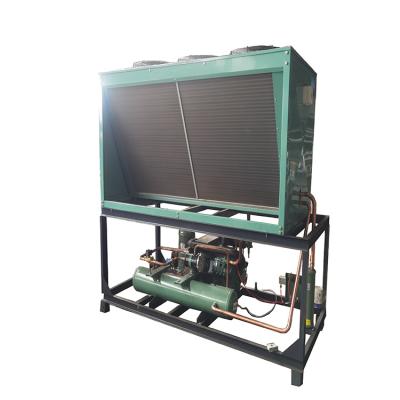 China Bitzer Refrigeration Quality Assurance Evaporative Refrigeration Equipment Piston Compressor Air Cooled Condenser V Type Semi-Hermetic Unit for sale