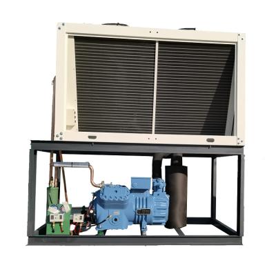 China Refrigeration Parts Zhongsheng Tianrui Piston Refkon 25hp Compressor Air Cooled V Type Freezer Condensing Unit For Hotel for sale