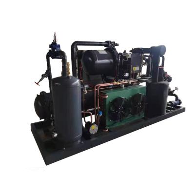 China Refrigeration Parts Bargain Price Refrigeration Freezer Unit Refrigeration Mini Screw Compressor 2hp Condensing Condensing Unit For Cold Room for sale