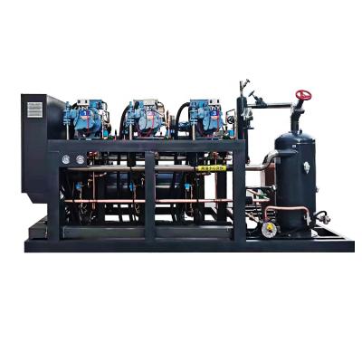 China Refrigeration Parts Refcomp Low Temperature Cold Storage Equipment Unit Paralleled Screw Compressor Evaporative Condensing Unit for sale