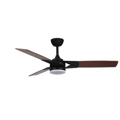 China Simplicity Modern Designer Fancy Smart Light Decorative Modern Remote Control Led Ceiling Fan for sale