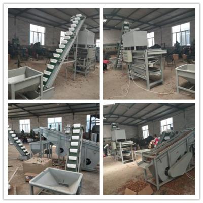 China walnut processing line, walnut shelling machine, walnut cracker for sale