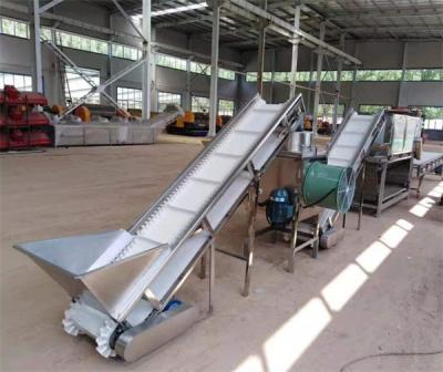 China garlic peeling machine, garlic peeling line, garlic processing machines for sale