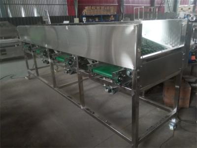 China garlic sorting machine, garlic grading machine,garlic sorter, garlic classifier for sale