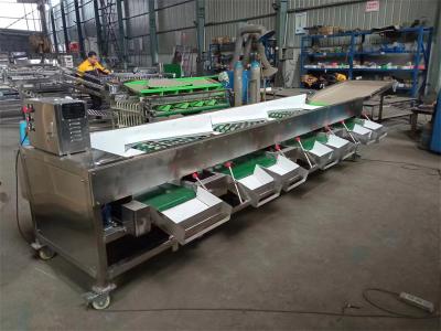 China tomatoes grading machine, tomatoes sorting machine, tomato grader sorter for sale