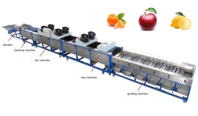 China orange cleaning drying grading machine, orange sorting machine, lemon grading machine for sale