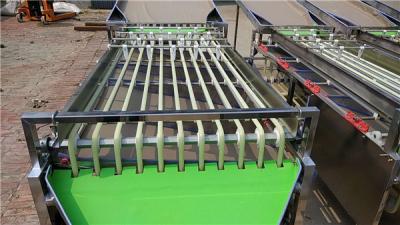 China peach grading machine, pomegranate sorting machine, lemon grader, tomato sorter for sale