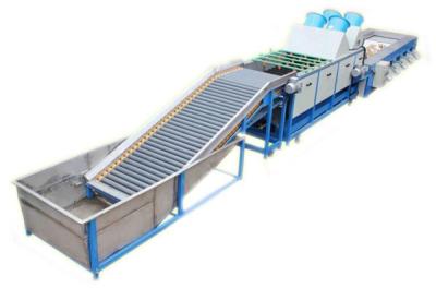 China Sweet potato washing dryer and grading machine, sweet potato sorting machine for sale