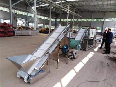 China garlic peeling line, big capacity garlic peeling machine, garlic peeler for sale