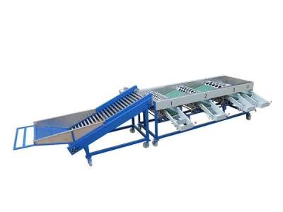 China garlic grading machine,garlic sorting machine,onion garding machine,onion sorting machine for sale