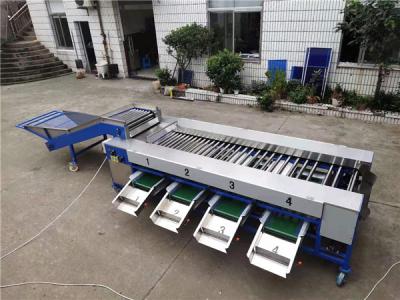 China potato grading machine,potato sorting machine,potato sorter for sale