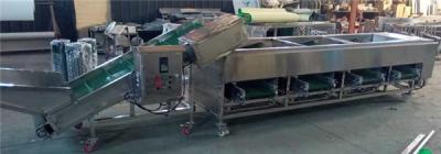 China mushroom sorting machine,mushroom grading machine,walnut sorting machine,walnut grading machine for sale