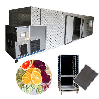 China Factory 2021 new products 0.3 to 3.5 tons fruit drying machine for fruit dehydration for sale