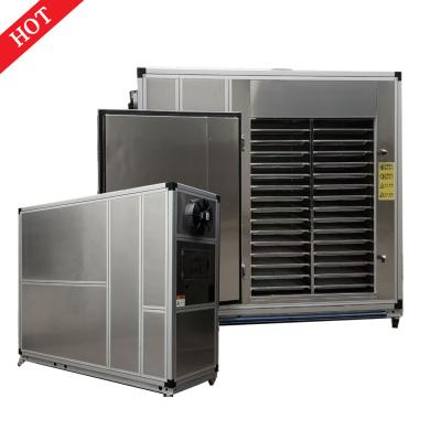 China Wholesale Fishs Sprices Fruit Vegetable Stainless Steel Fruit and Vegetable Heat Pump Proofer and Drying Machine with 30 Pcs Tryas for sale