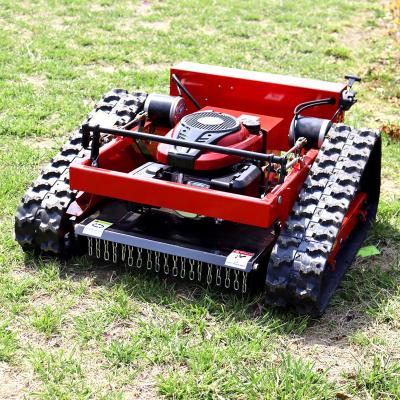 China Cordless Intelligent 4-Stroke Garden Lawn Trimmer for sale