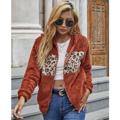 China Miingstyle Autumn Winter Women Anti-wrinkle Short Coats Cardigan Lapel Zipper Knit Ladies Cardigan Plus Size Sweater Coat for sale