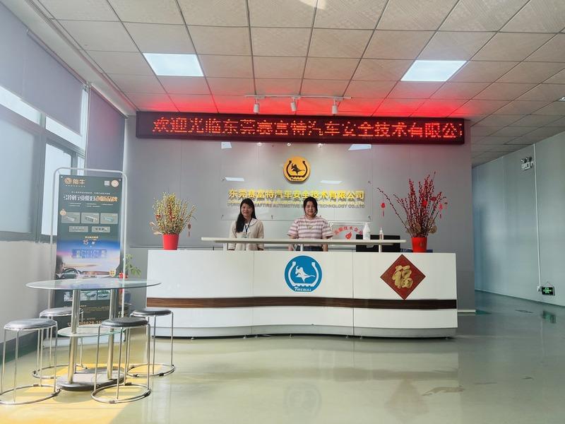 Verified China supplier - Dongguan Saftire Auto Safety Technology Co., Ltd.