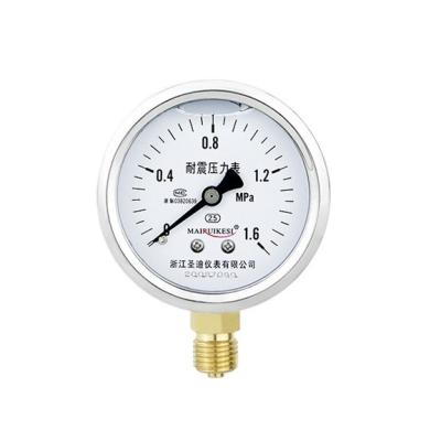 China 60mm YN60 1-600 Bar Precision Pressure Gauge for Glycerol Filling Fuel Pressure Testing for sale