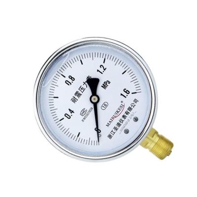 China 100mm Precision Panel Mount Pressure Gauge for Oil-Filled Water Air Pressure Measurement for sale