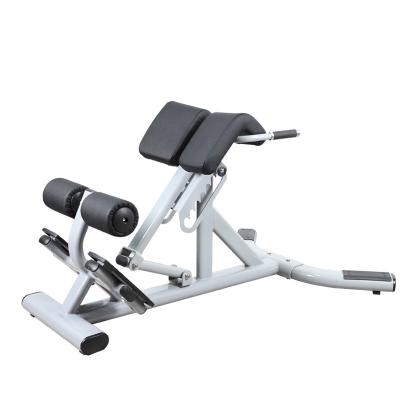 China Eco-Friendly High Quality Commercial Stretch Equipment Roman Fitness Back Chair for sale