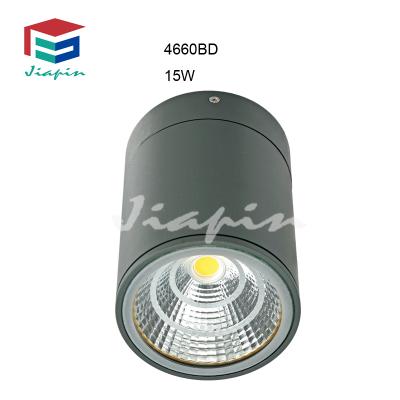 China Popular Waterproof Warehouse LED COB Downlight Surface Mounted Outdoor Downlight for sale