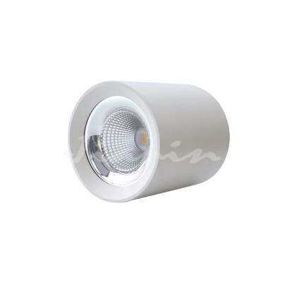 China Modern Round 10W 15W 20W 30W 40W Surface Mounted Commercial Downlight LED COB Down Light for sale