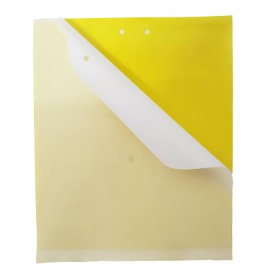 China Disposable Custom Size Yellow Flies Stick Board Fruit Fly Sticky Trap For Indoor Outdoor for sale