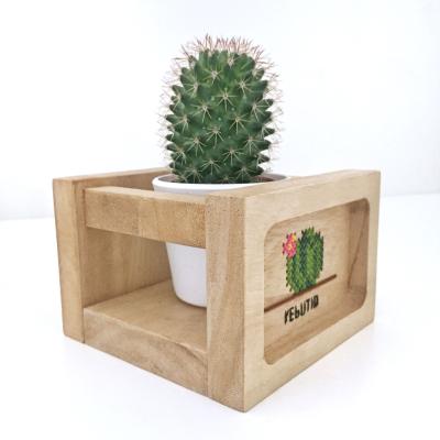 China Europe JUNJI Wholesale Wood Flower Pot Mini Handmade Wood Planter Pot customized wooden planter box for sale