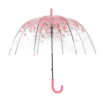 China Modern Women Girls Sakura Umbrellas Transparent Wind Heavy Rain Clear Flowers Bubble Dome Umbrella Long Handle Umbrellas for sale