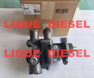 China Cummins Water Pump 4299030 4299030X  P4299030 en venta