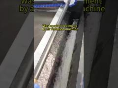 Dissolved Air Flotation Machine
