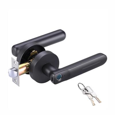 China Security Home Office Fingerprint Lock Semiconductor S2 Door Lock Zinc Alloy Electronic Sensitive Smart Door Lock for sale