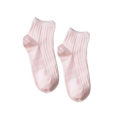 China Wholesale Antibacterial Knitted Inside Crew Canvas Socks For Women for sale